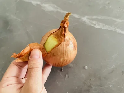 先端から根っこに向けて皮をむく（▶次へ）