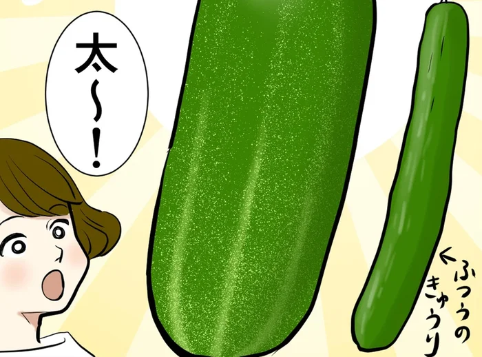 金沢生まれの「加賀太きゅうり」は、煮物やおみそ汁にぴったり！／季節を味わう､夫婦の台所