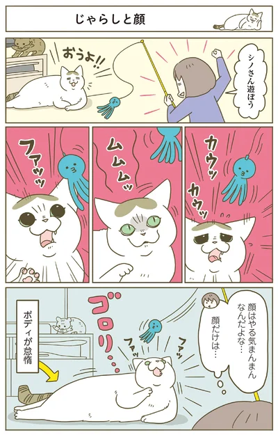 『うちの猫がまた変なことしてる。8』より
