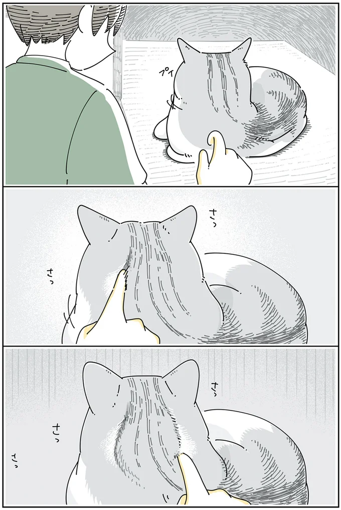 さっさっさっさっ