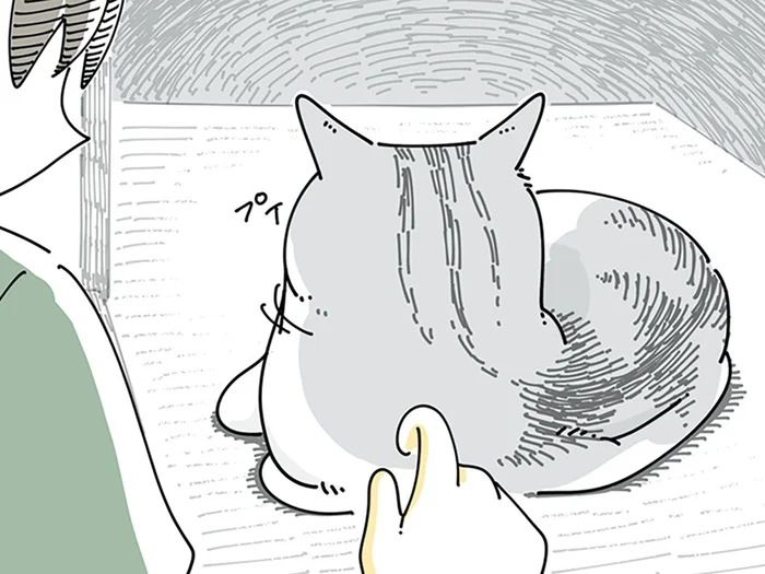 ネコの後頭部が気になる！ ついついイタズラ描きしてしまう飼い主