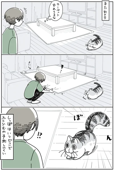 しっぽはいつどこでふくらむか予測しにくい