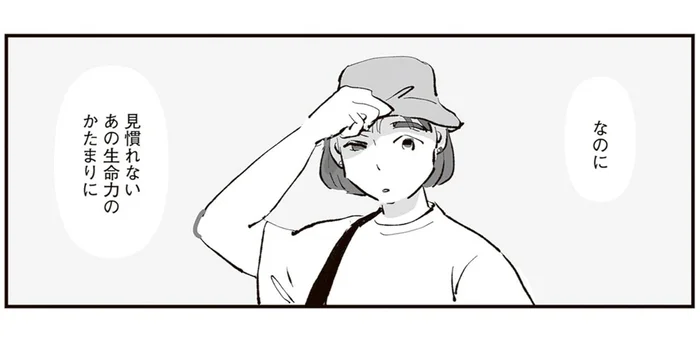 横断歩道ですれ違った、美しくて怖い「生命力のかたまり」／ひとごとごと 1（4）