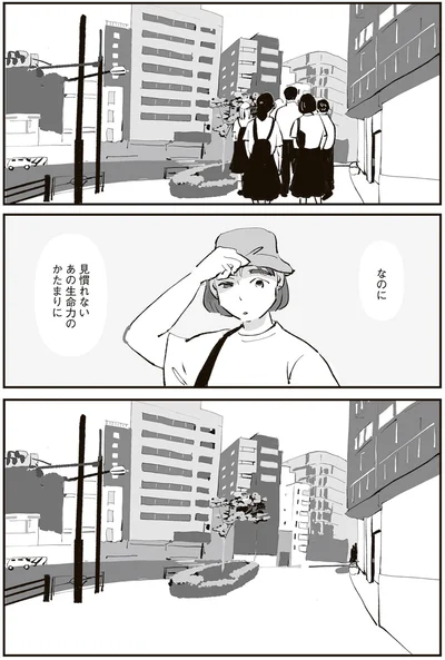 なのに