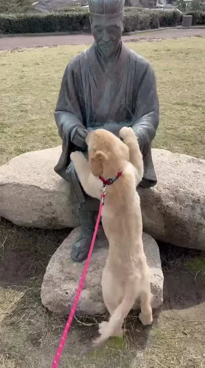 尻尾をふりふりして芭蕉像に飛びつく（⇒次へ）