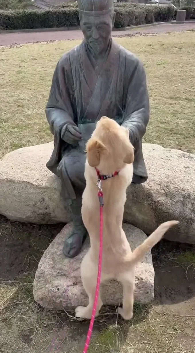 芭蕉像の膝に前足をかけている▶飛び乗ってしまいそうな勢い…（⇒次へ）