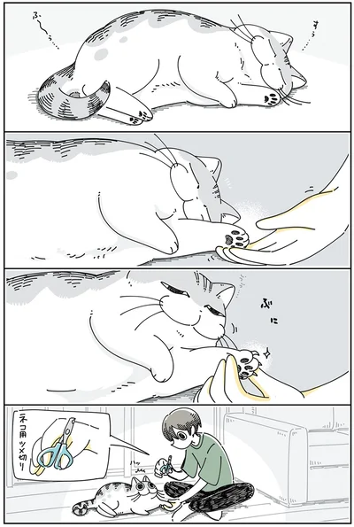 眠いうちにツメ切り