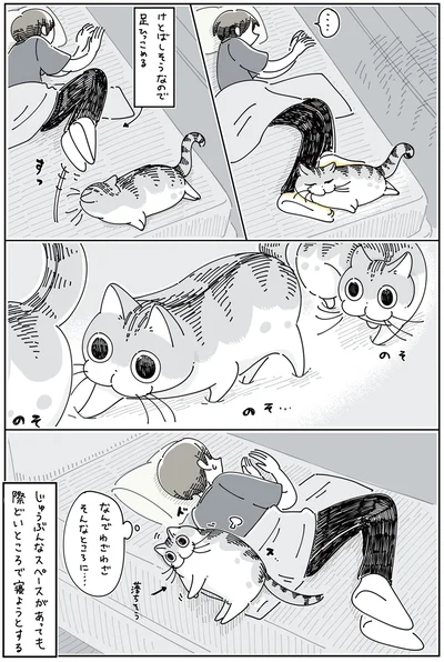 なんでわざわざそんなところに…