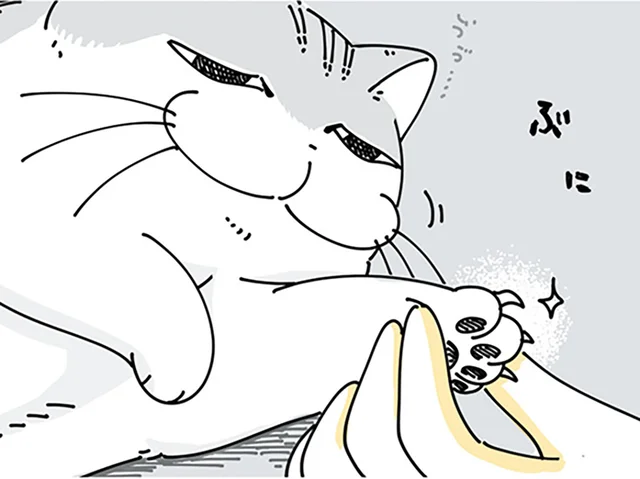 飼い主は知っている！ネコが嫌がる爪切り、スムーズにやれるタイミングは
