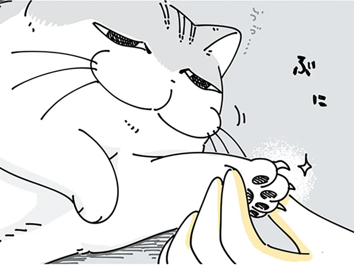 飼い主は知っている！ネコが嫌がる爪切り、スムーズにやれるタイミングは
