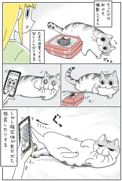 被写体になると拒否する