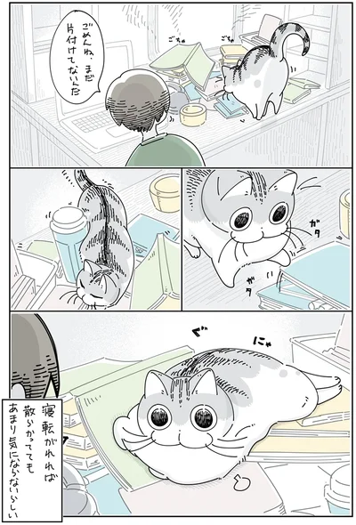あまり気にならないらしい
