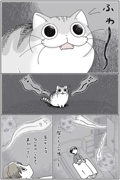 ネコが心配になる夜中