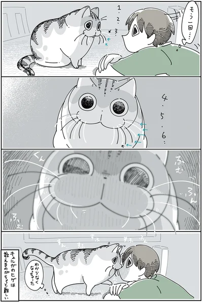 数えるのがちょっと難しい