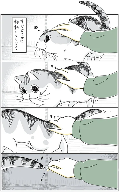 すぐどこかに移動してしまうけど…