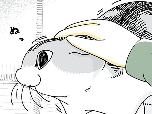 なでなでするとすぐにどこかへ行ってしまう。めげずにネコを構っていると