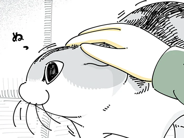 なでなでするとすぐにどこかへ行ってしまう。めげずにネコを構っていると