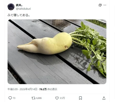 ふて寝する大根！？▶どこか親しみを感じる姿の大根（⇒次へ）