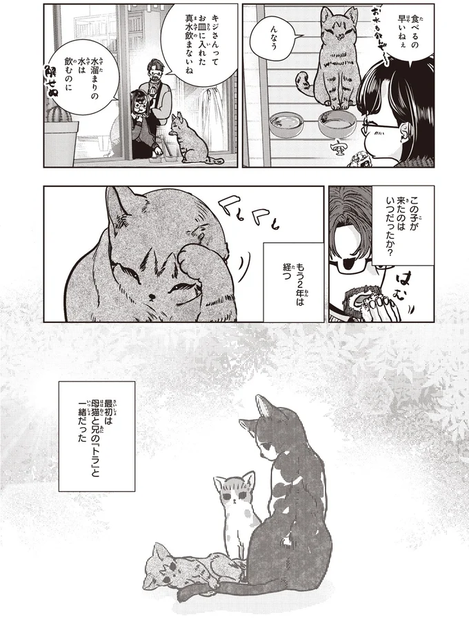 水溜まりの水は飲むのに