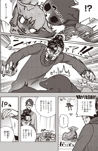 シャー！！