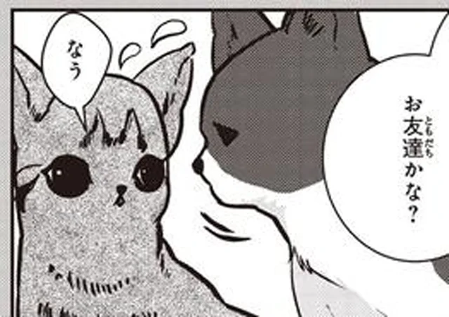 飼えないけど猫たちを守りたい。地域猫として世話をする「TNR活動」とは／スローステップ朔太郎 上（2）