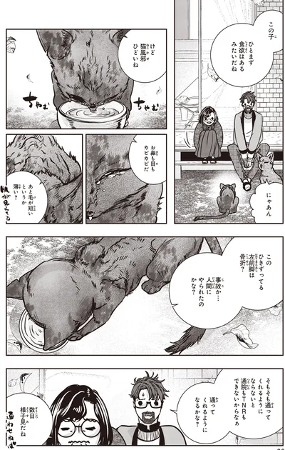 猫風邪ひどいね
