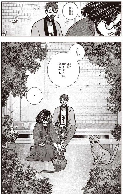 懐くようになるかも