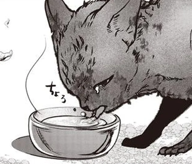 「また命を繋げたね」世話をする地域猫が繋いだ命のリレー／スローステップ朔太郎 上（5）