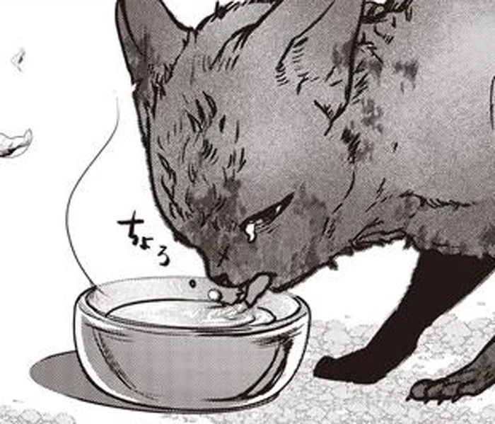 「また命を繋げたね」世話をする地域猫が繋いだ命のリレー／スローステップ朔太郎 上（5）