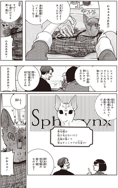 お湯だけでも真っ黒だ