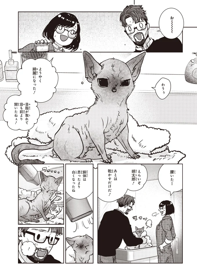 思ったより白くなったね