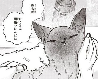 野良の子猫の初めてのお風呂。露わになったケガと古傷に絶句／スローステップ朔太郎 上（7）
