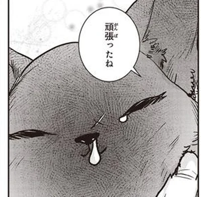 温かい寝床で安心して眠る野良の子猫。「ここまでよく生きてきた」／スローステップ朔太郎 上（8）