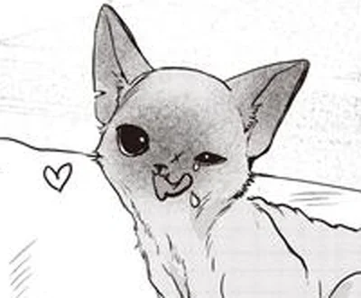 子猫への投薬。直接口に入れるのも、エサに混ぜるのもダメなら…頼ったのはアレ！／スローステップ朔太郎 上（10）