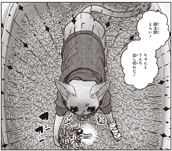 朔太郎えらい!