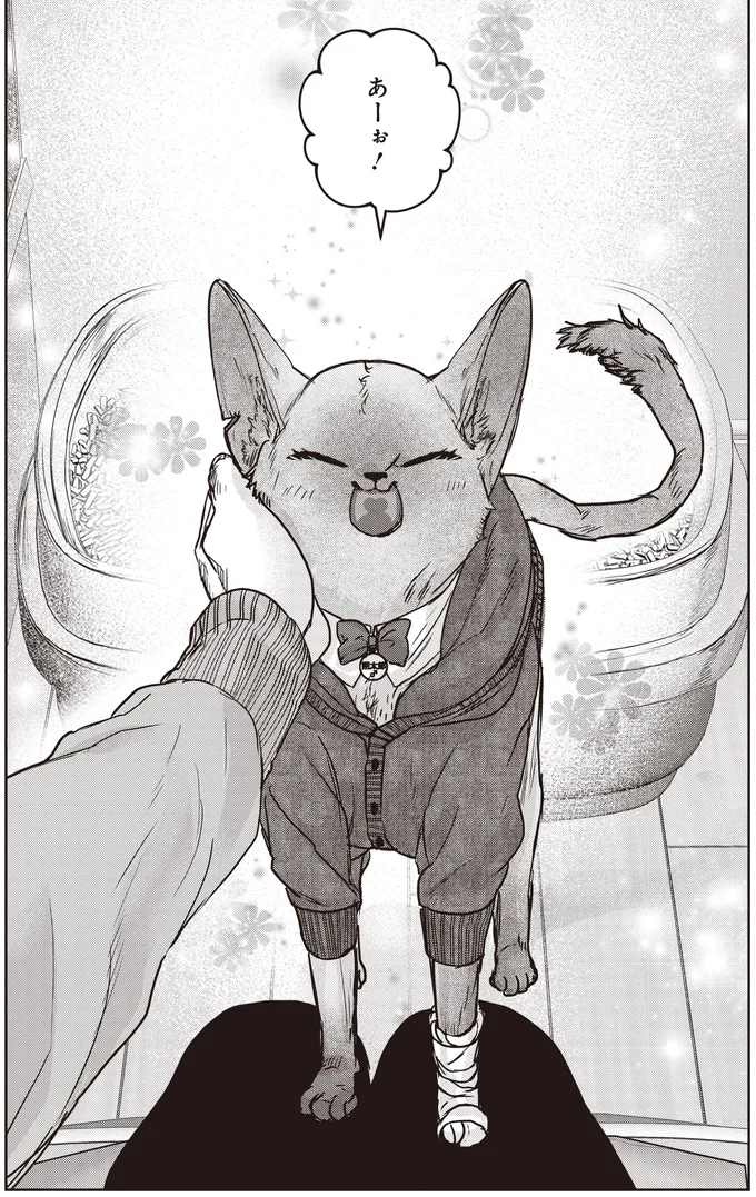 あーぉ！
