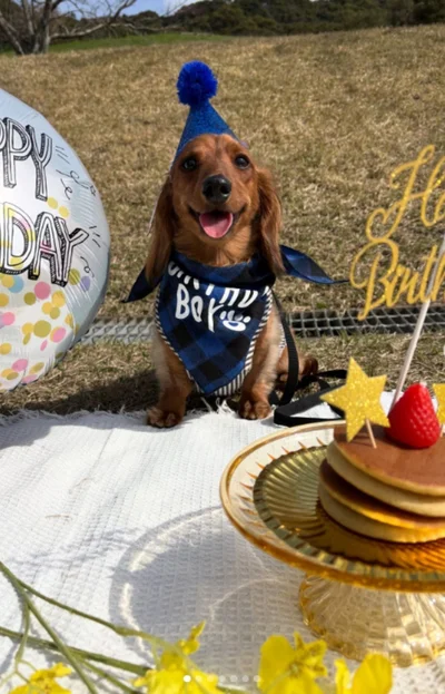 2歳の誕生日の様子▶甘え上手な一面も（⇒次へ）