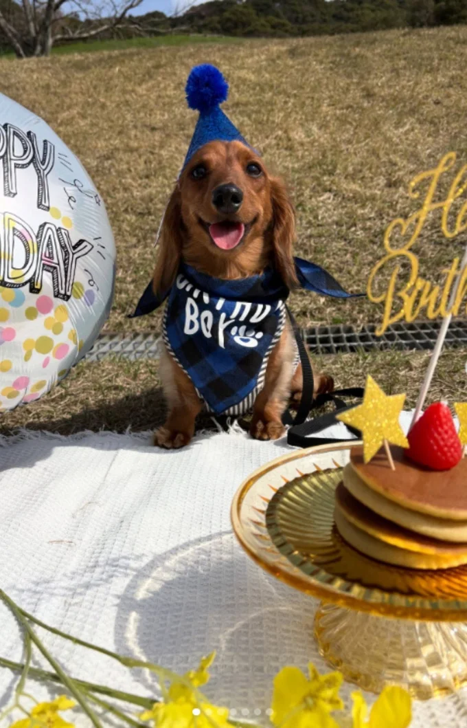 2歳の誕生日の様子▶甘え上手な一面も(⇒次へ)