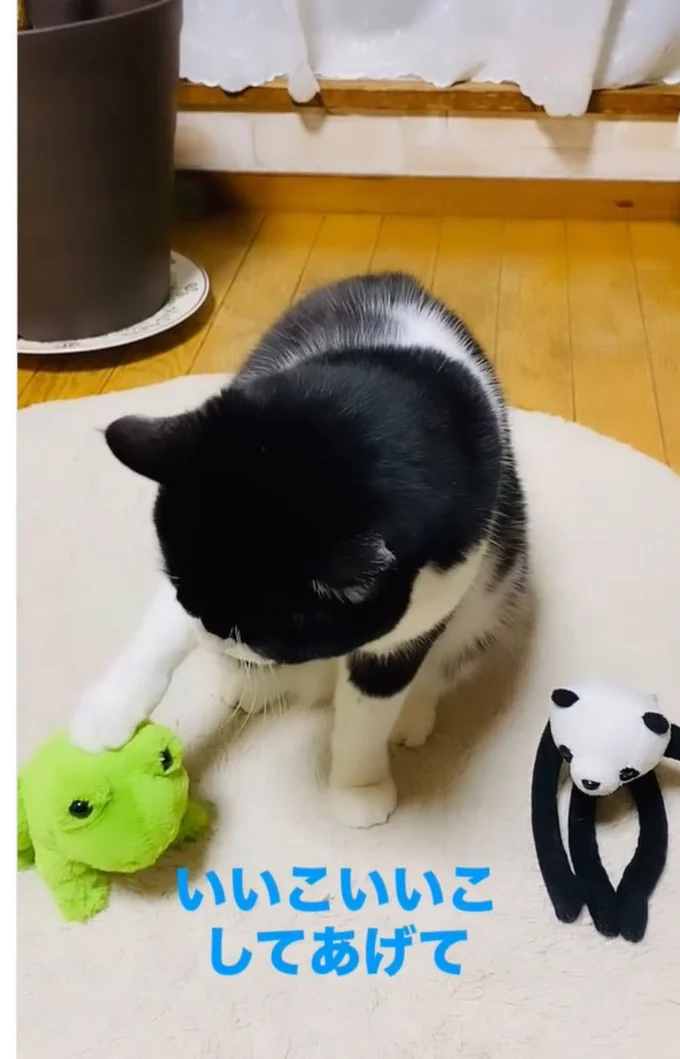 カエルのぬいぐるみにいいこいいこ(⇒次へ)