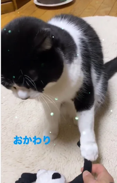 おかわり▶続いて…（⇒次へ）