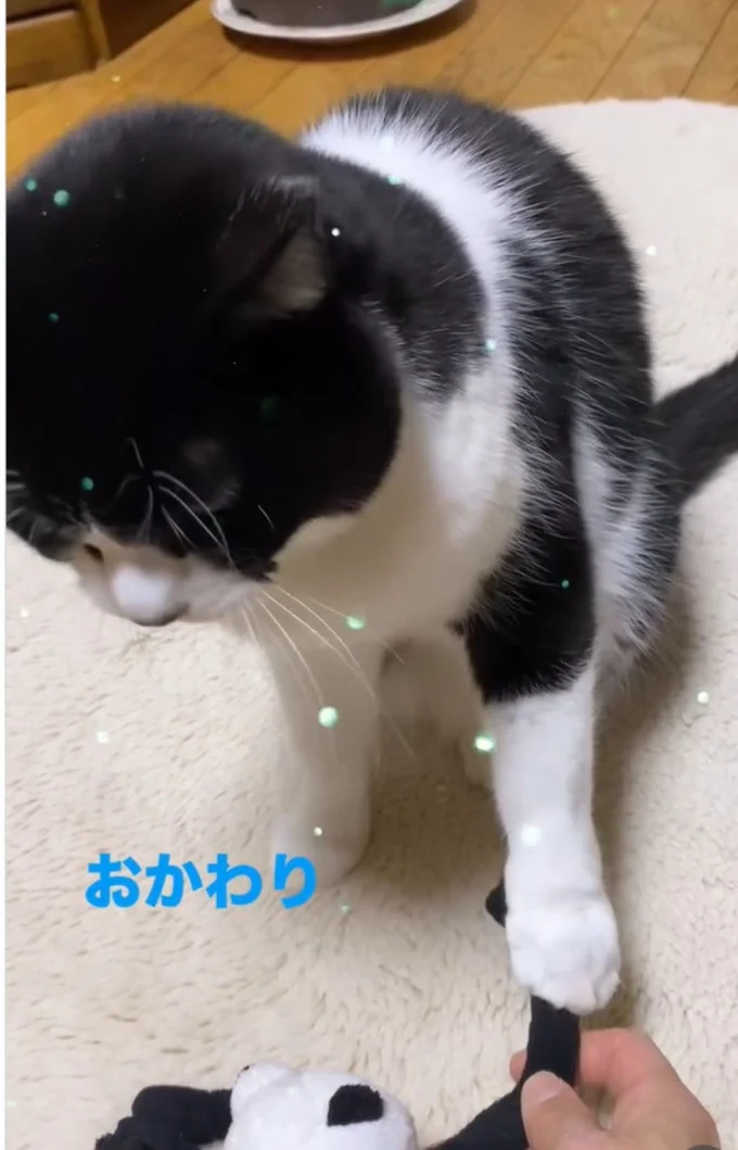 おかわり▶続いて…(⇒次へ)