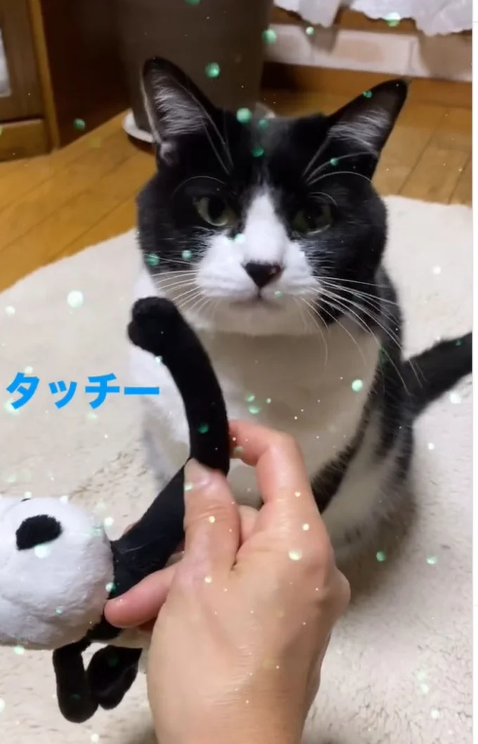 タッチー▶できるかな?(⇒次へ)