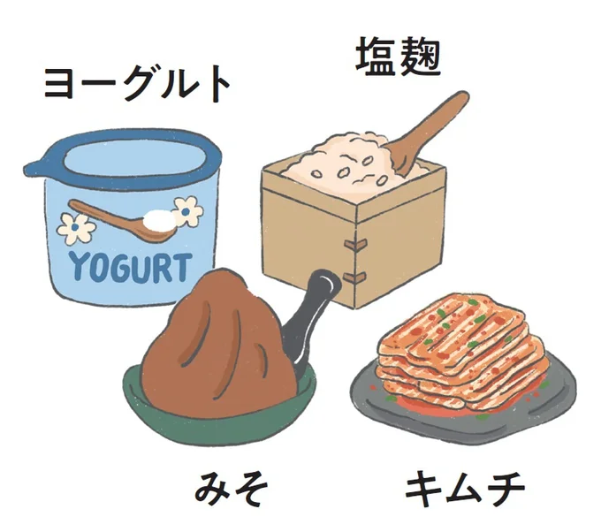 発酵食品