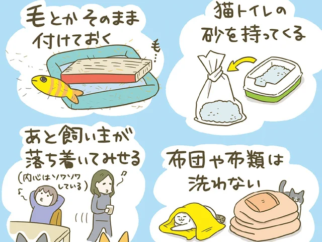 いざ新居へ！ 猫たちが早く新しい環境に馴染めるように、様々な工夫をしました
