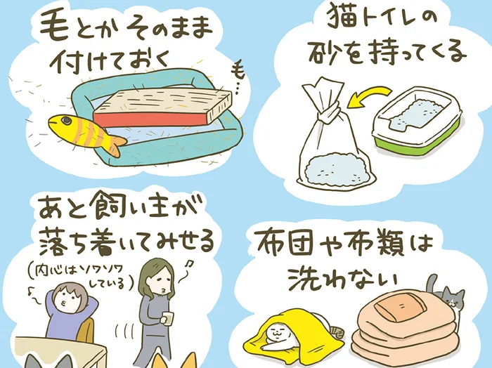 いざ新居へ！ 猫たちが早く新しい環境に馴染めるように、様々な工夫をしました