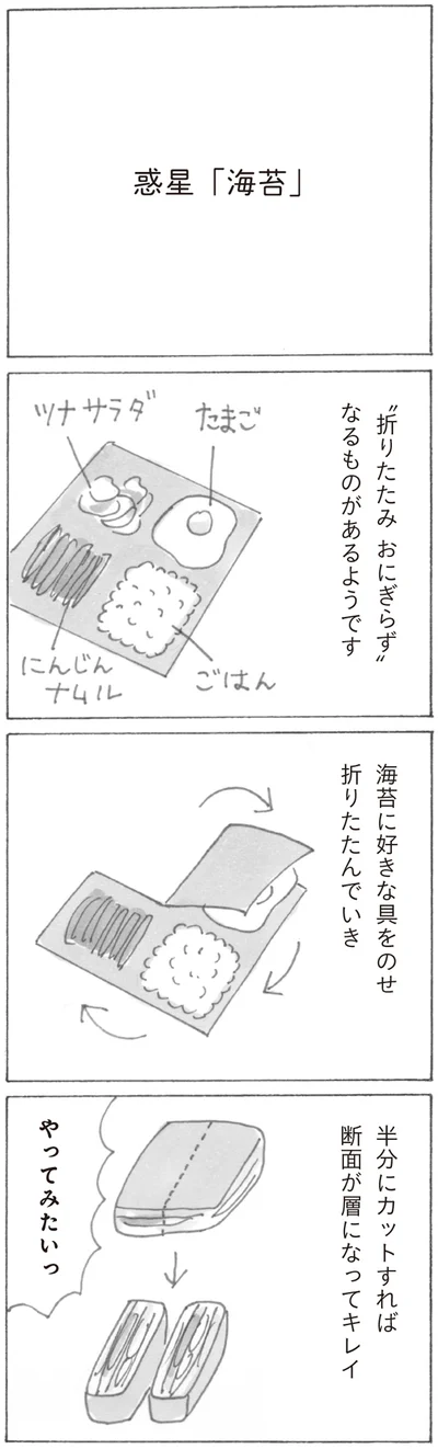 折りたたみ　おにぎらず