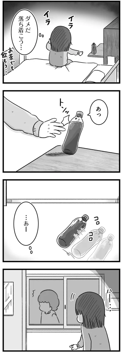 『精神科病棟の青春 あるいは高校時代の特別な1年間について』より