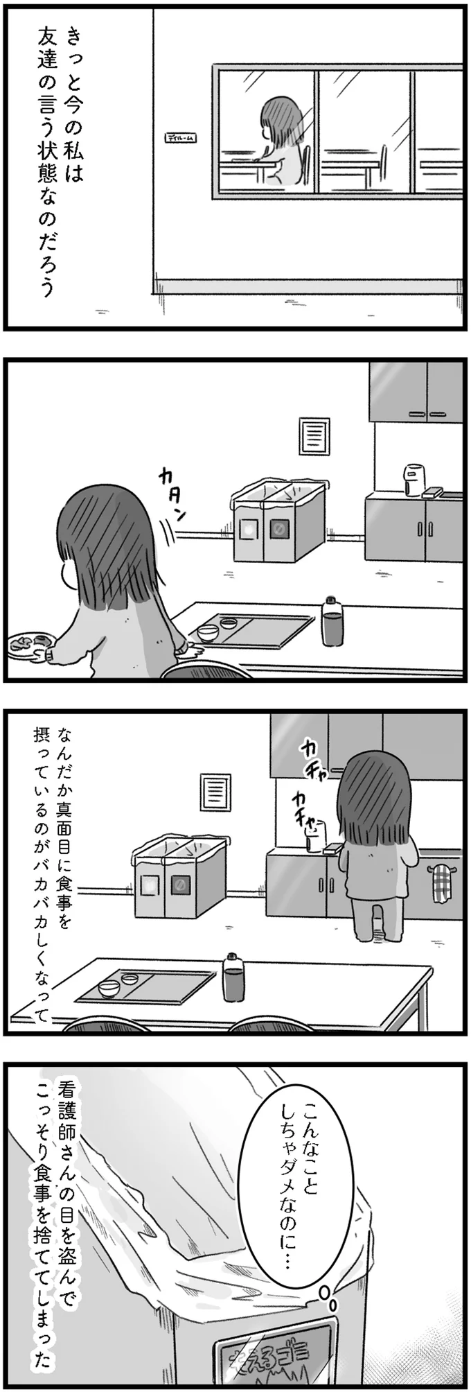 『精神科病棟の青春 あるいは高校時代の特別な1年間について』より