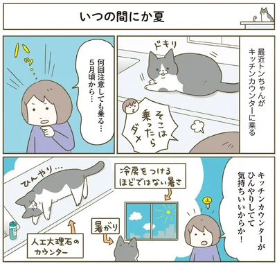 キッチンカウンターはひんやりしてて気持ちいい