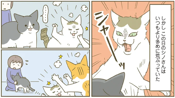 いつもより多めに荒ぶるシノさん